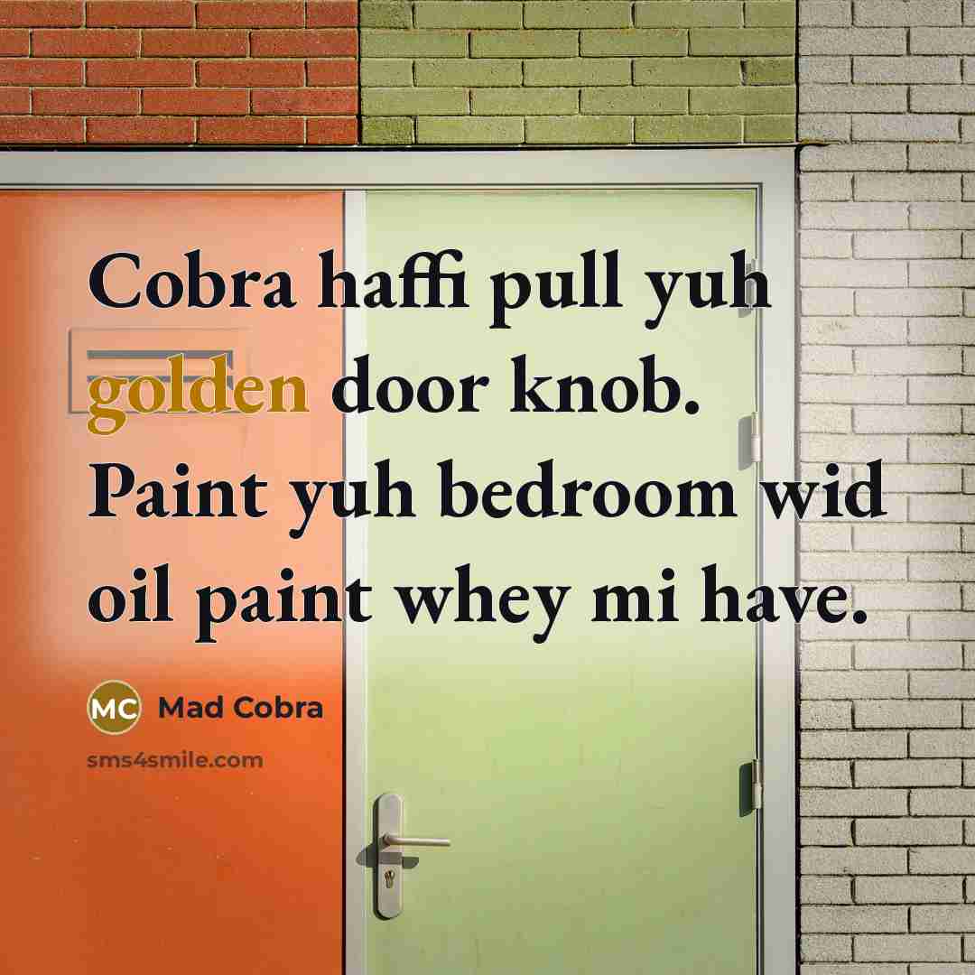 “Cobra haffi pull yuh golden door knob. Paint yuh bedroom wid oil paint whey mi have.” quote by Mad Cobra