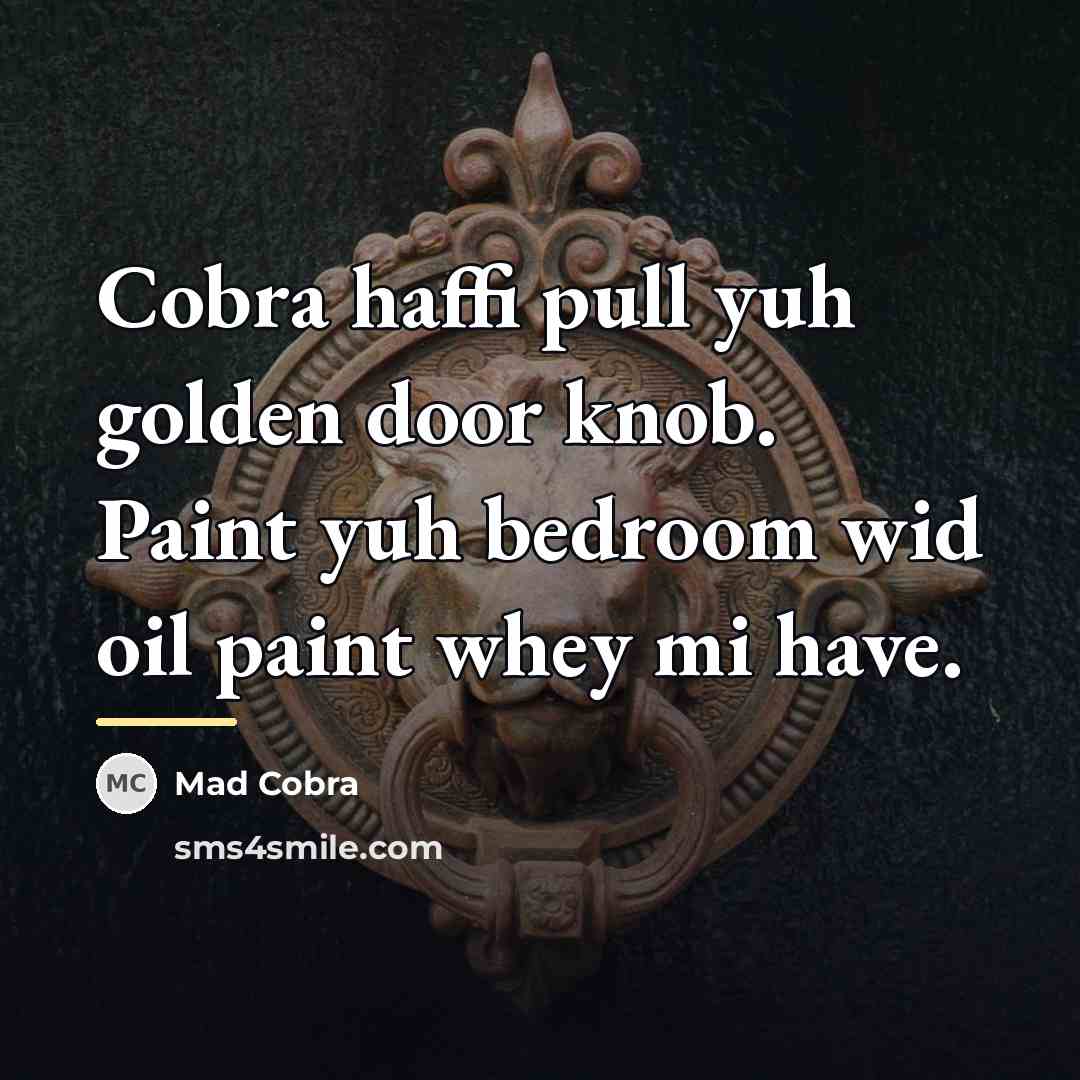 “Cobra haffi pull yuh golden door knob. Paint yuh bedroom…” quote by Mad Cobra