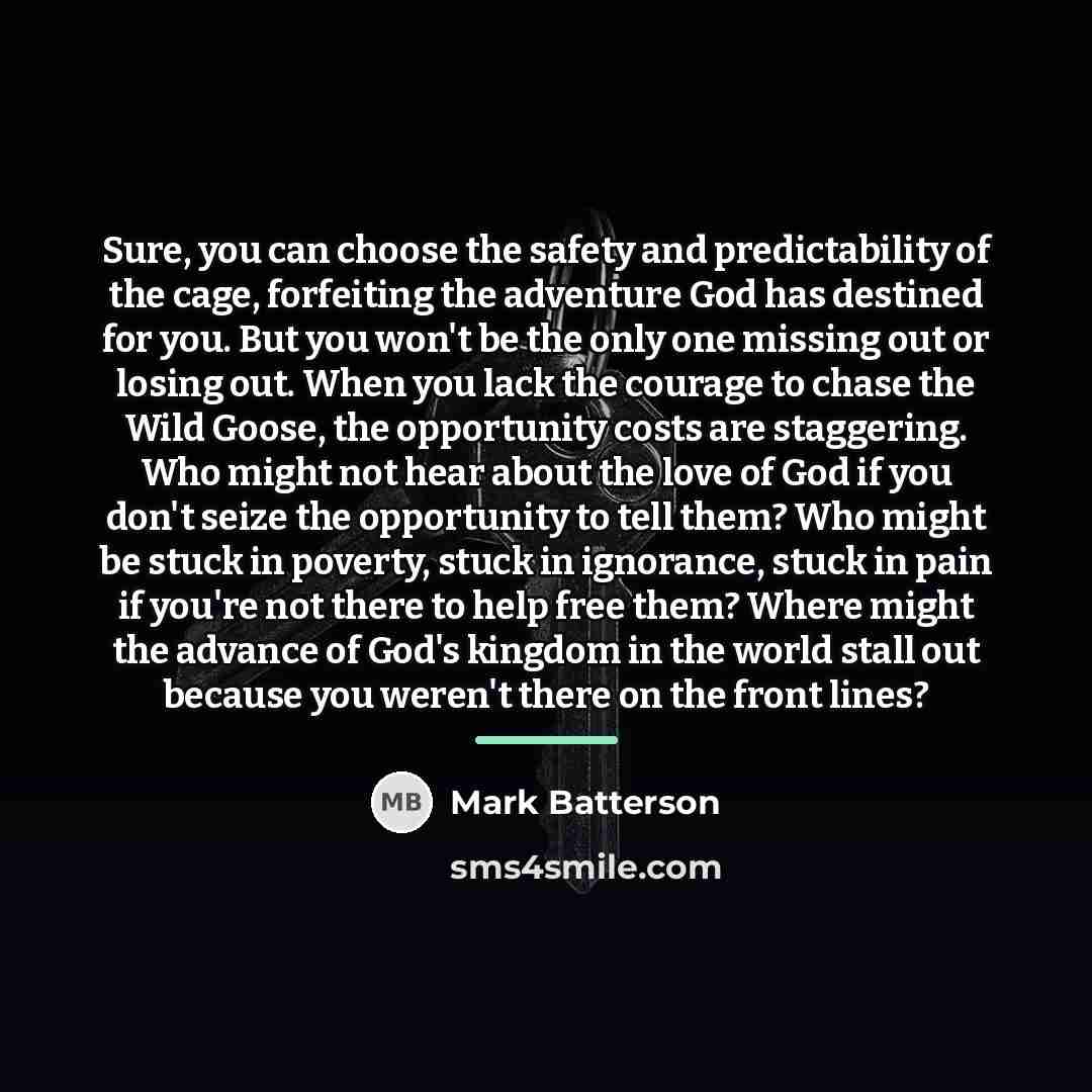“Sure, you can choose the safety and predictability of the…” quote by Mark Batterson