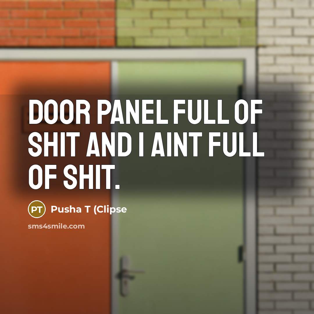 “Door panel full of shit and I aint full of shit.” quote by Pusha T (Clipse