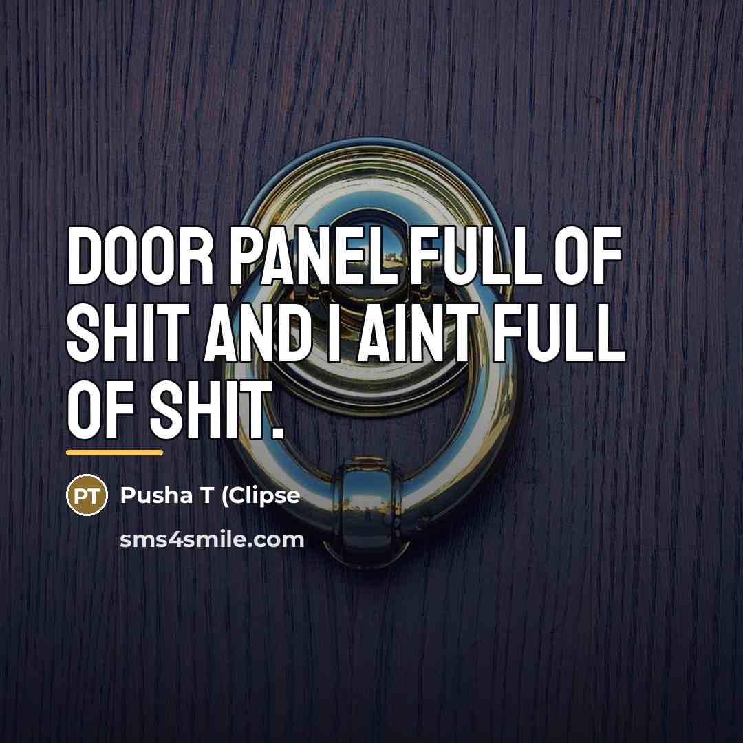 “Door panel full of shit and I aint full of…” quote by Pusha T (Clipse
