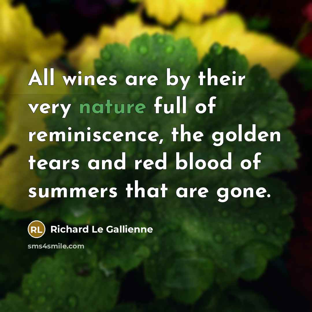 “All wines are by their very nature full of reminiscence,…” quote by Richard Le Gallienne