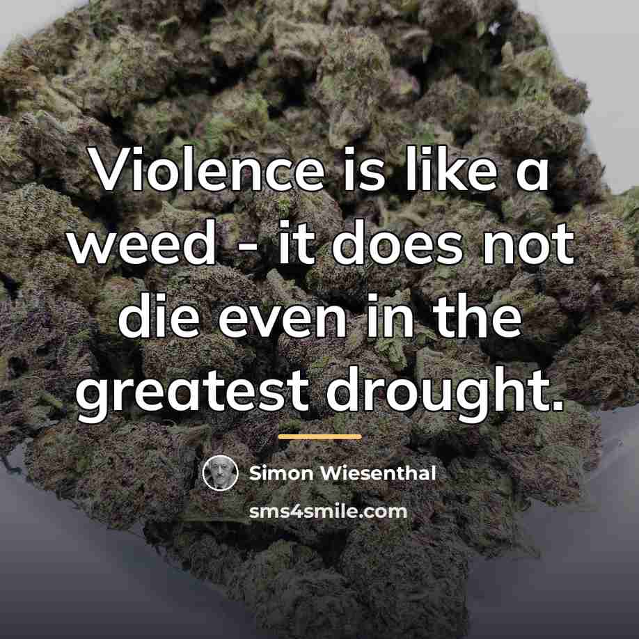 “Violence is like a weed - it does not die…” quote by Simon Wiesenthal