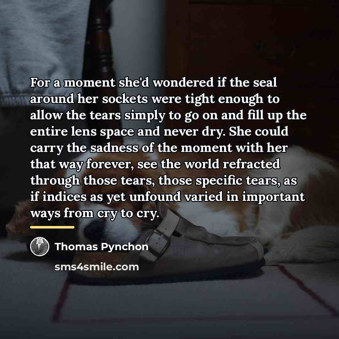 “For a moment she'd wondered if the seal around her…” quote by Thomas Pynchon