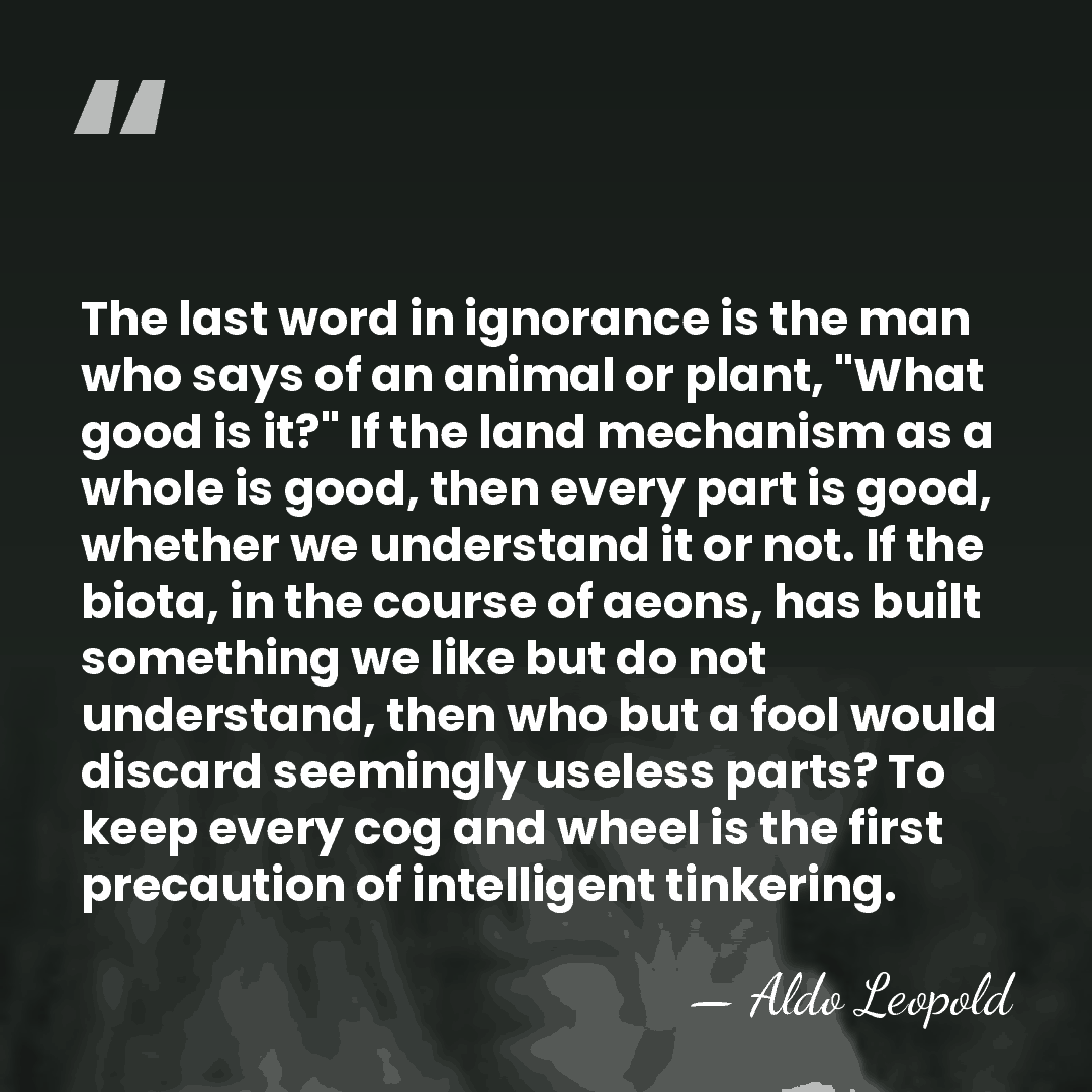 The last word in ignorance is the man who says of an&hellip; - Aldo Leopold