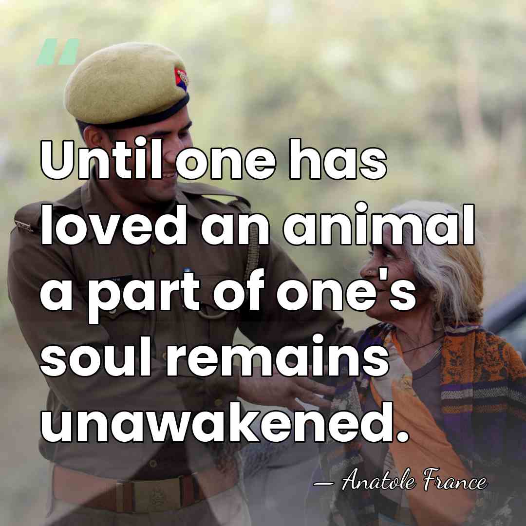 Until one has loved an animal a part of one's soul remains&hellip; - Anatole France