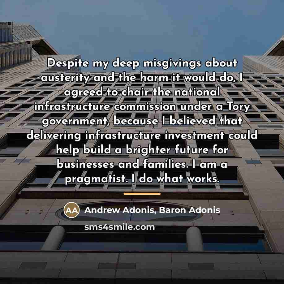 “Despite my deep misgivings about austerity and the harm it…” quote by Andrew Adonis, Baron Adonis