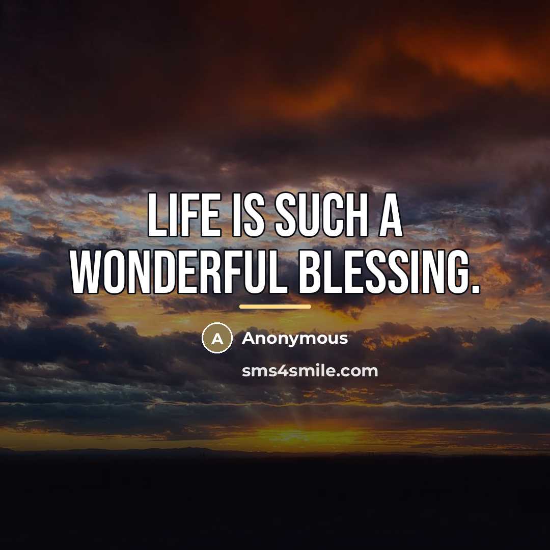 “Life is such a wonderful blessing.…” quote by Anonymous