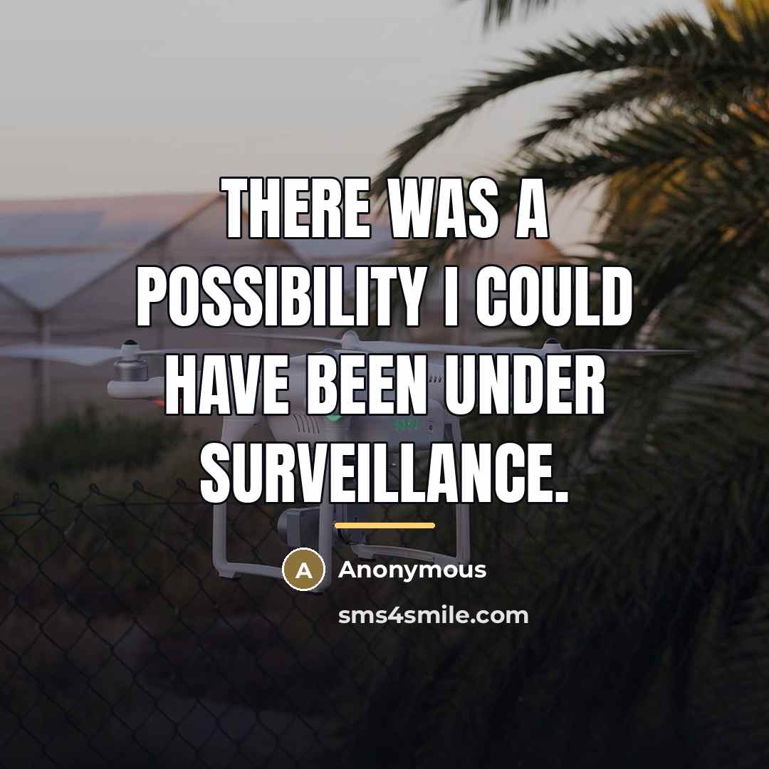 “There was a possibility I could have been under surveillance.…” quote by Anonymous