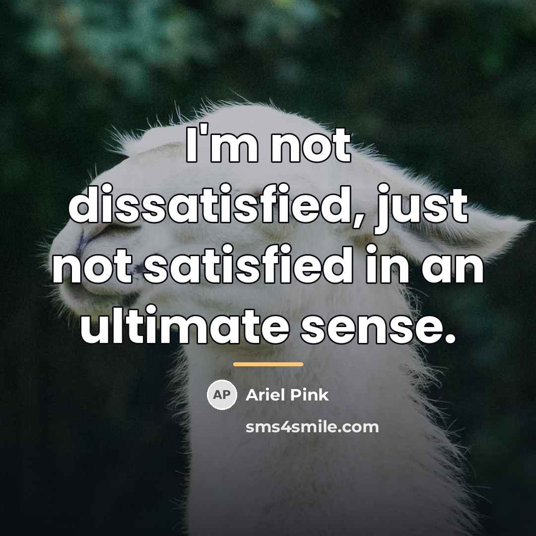 “I'm not dissatisfied, just not satisfied in an ultimate sense.…” quote by Ariel Pink
