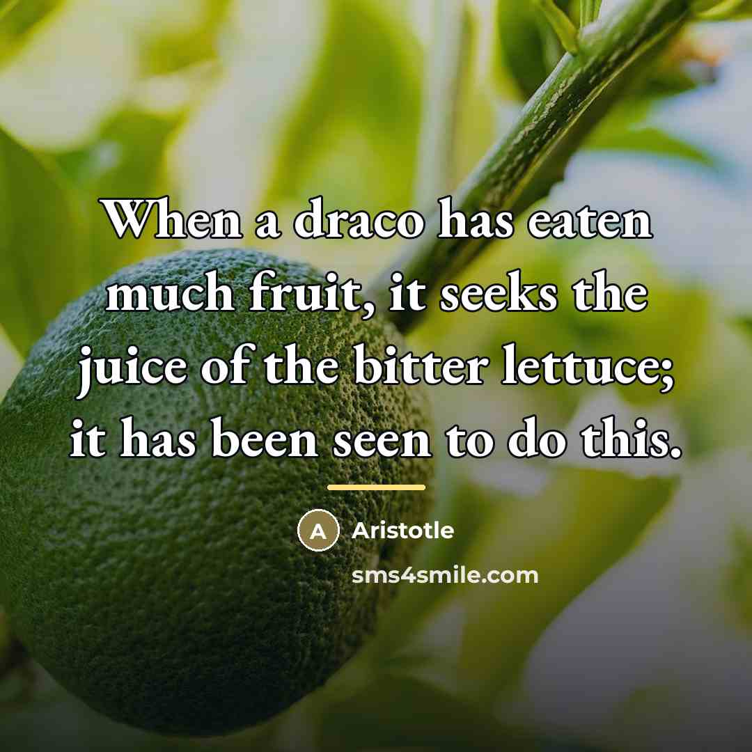 “When a draco has eaten much fruit, it seeks the…” quote by Aristotle