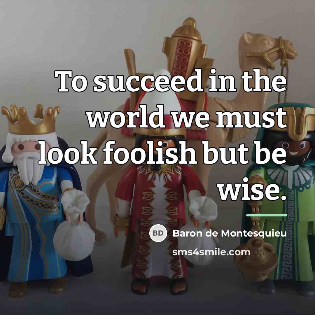 “To succeed in the world we must look foolish but…” quote by Baron de Montesquieu