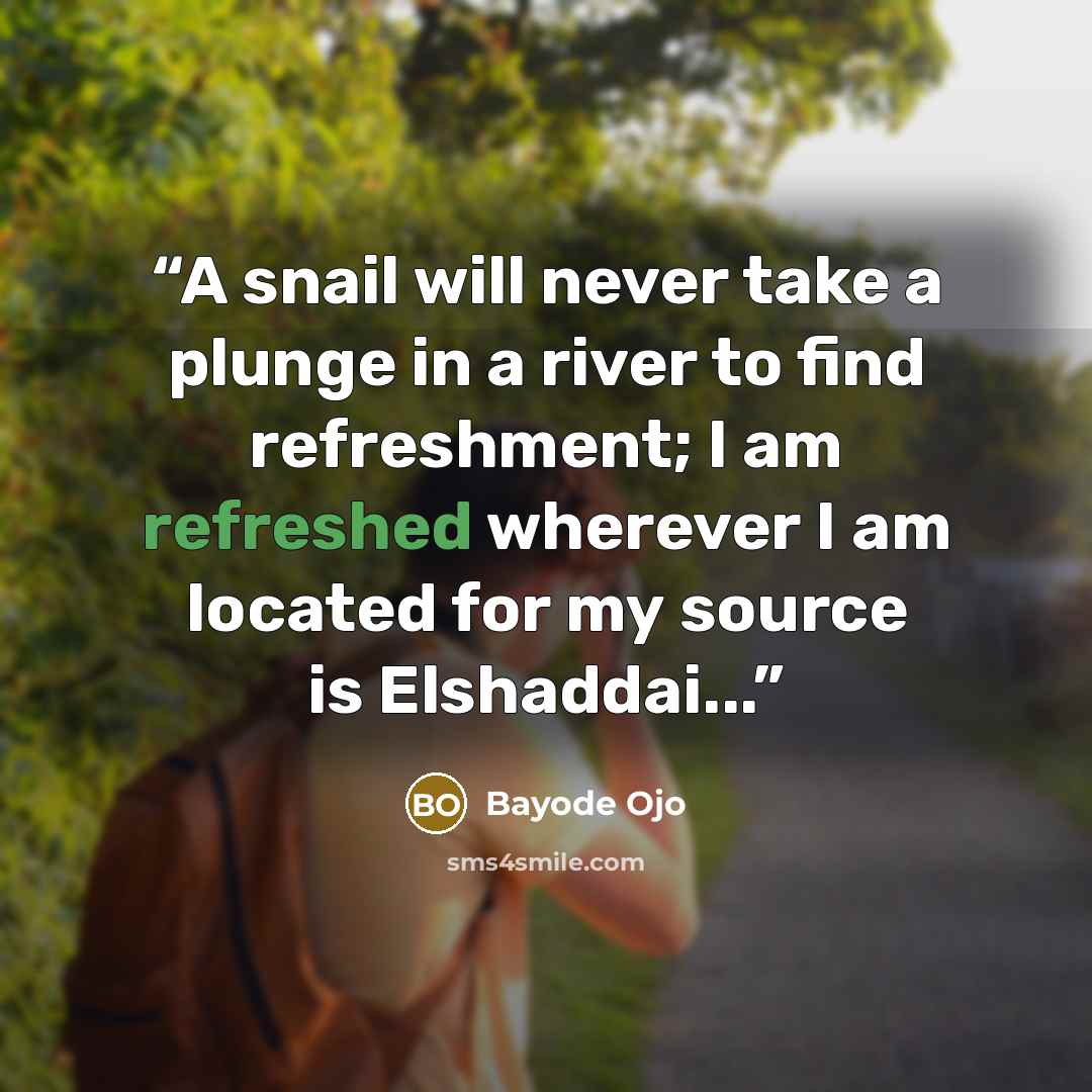 “A snail will never take a plunge in a river to find refreshment; I am refreshed wherever I am located for my source is Elshaddai...” quote by Bayode Ojo