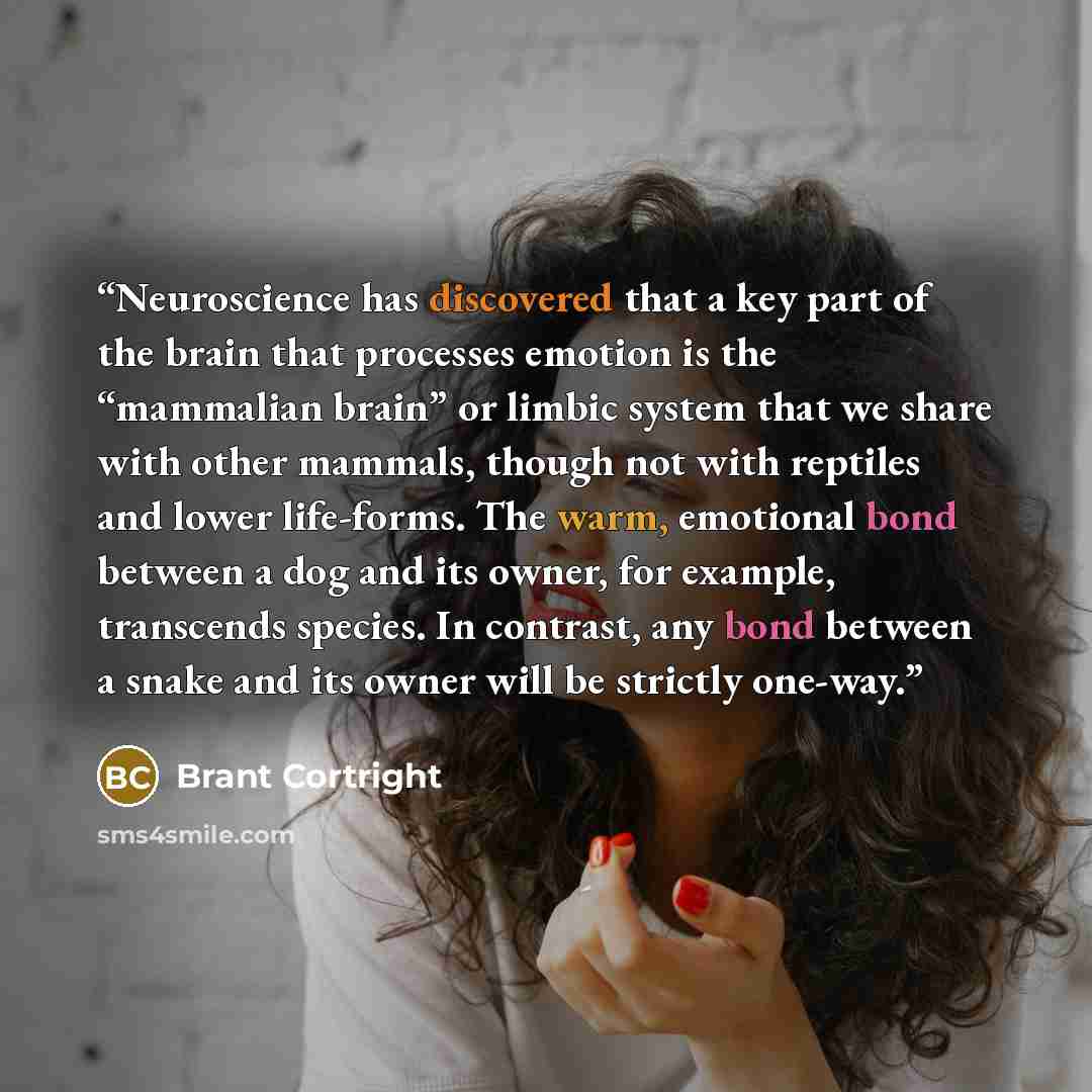 “Neuroscience has discovered that a key part of the brain that processes emotion is the “mammalian brain” or limbic system that we share with other mammals, though not with reptiles and lower life-forms. The warm, emotional bond between a dog and its owner, for example, transcends species. In…” quote by Brant Cortright