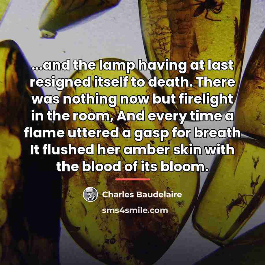 “...and the lamp having at last resigned itself to death.…” quote by Charles Baudelaire
