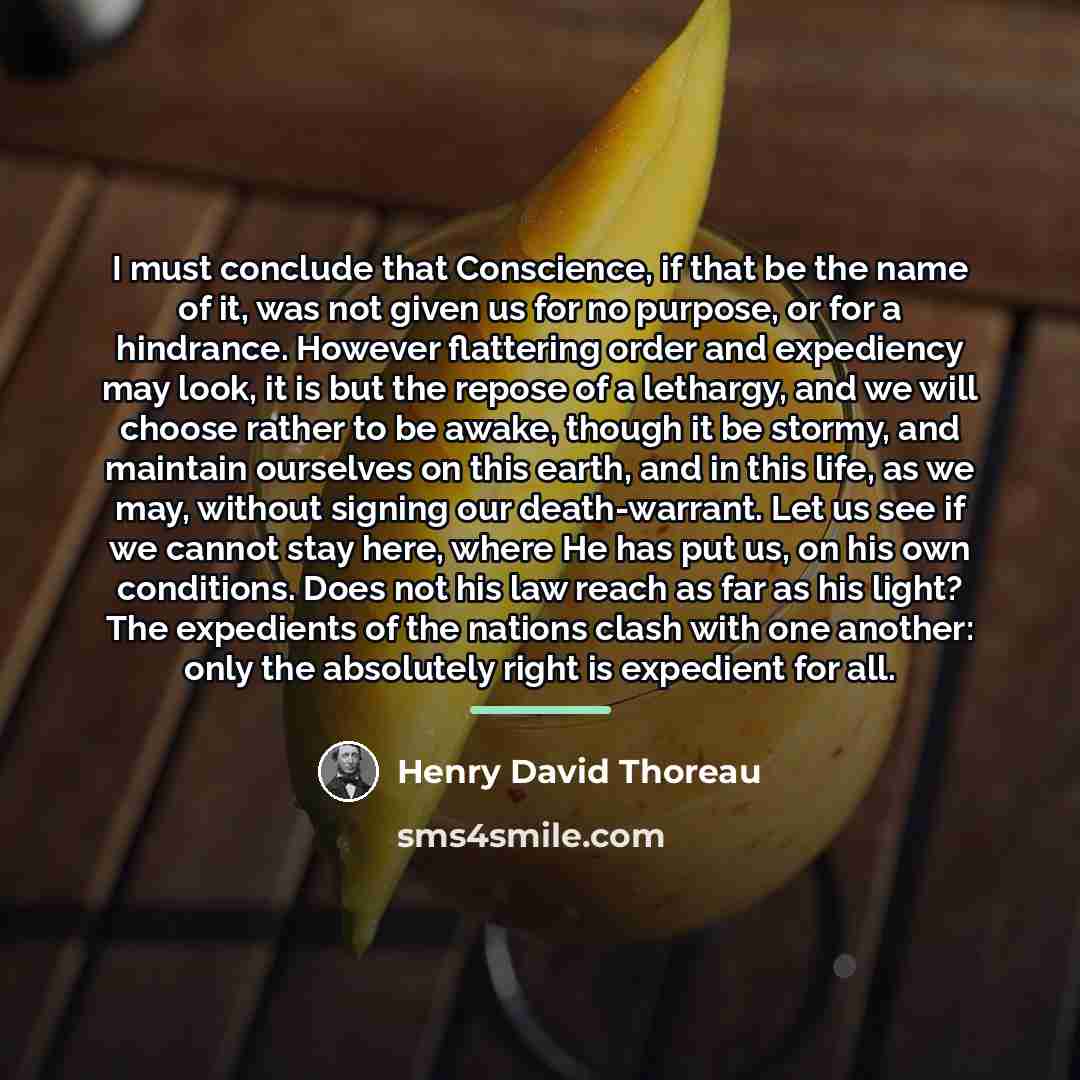 “I must conclude that Conscience, if that be the name…” quote by Henry David Thoreau