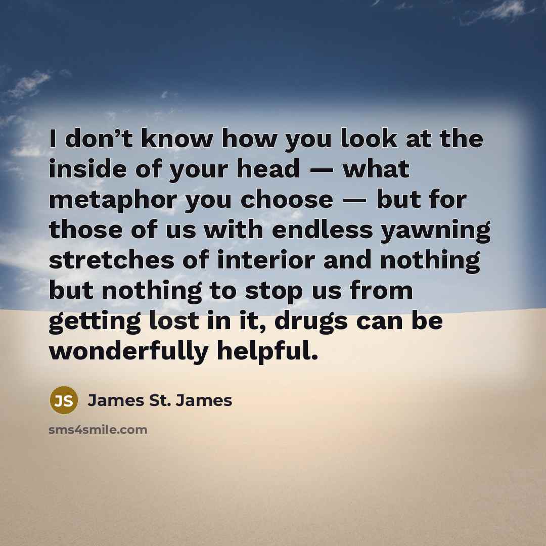 “I don’t know how you look at the inside of…” quote by James St. James