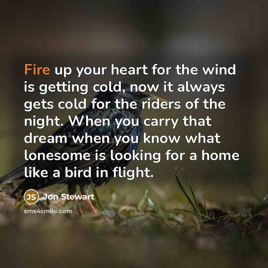 “Fire up your heart for the wind is getting cold,…” quote by Jon Stewart