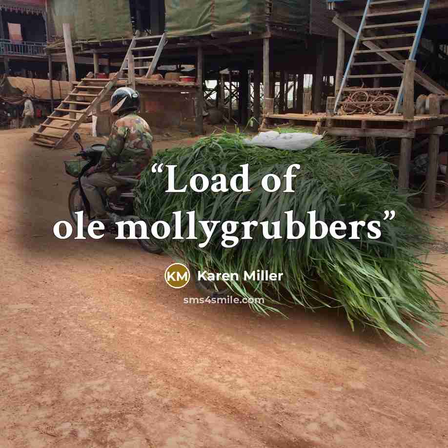 “Load of ole mollygrubbers” quote by Karen Miller