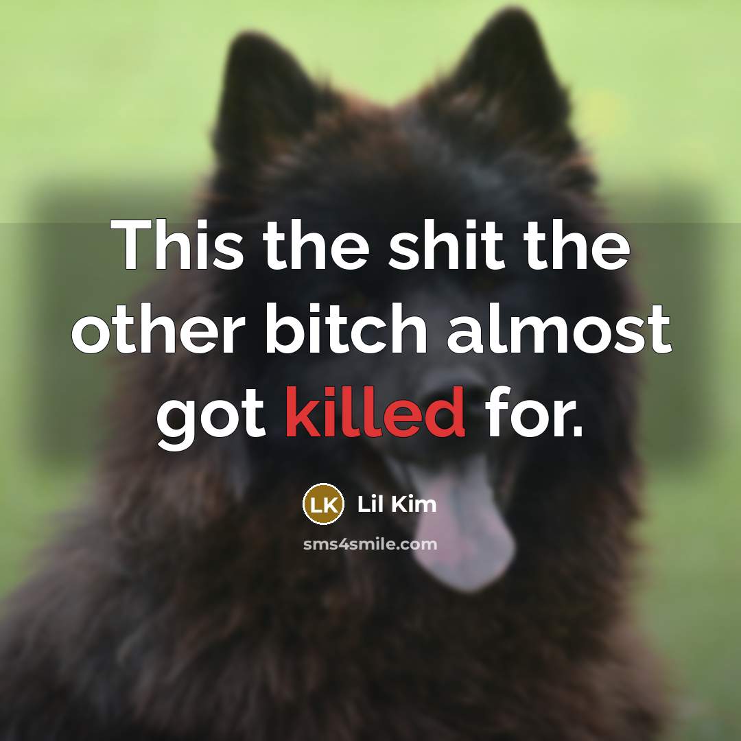“This the shit the other bitch almost got killed for.…” quote by Lil Kim