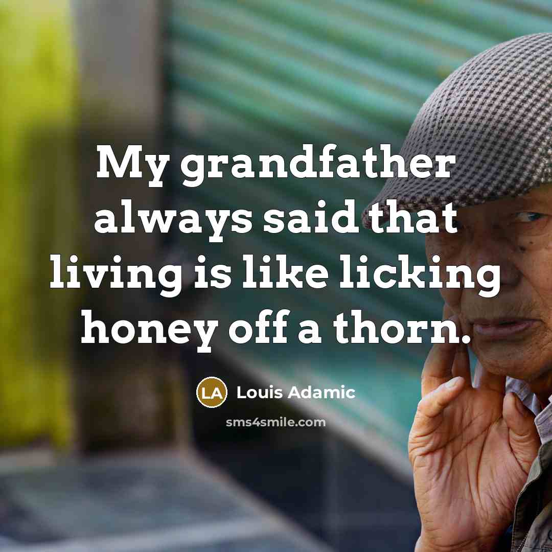 “My grandfather always said that living is like licking honey…” quote by Louis Adamic