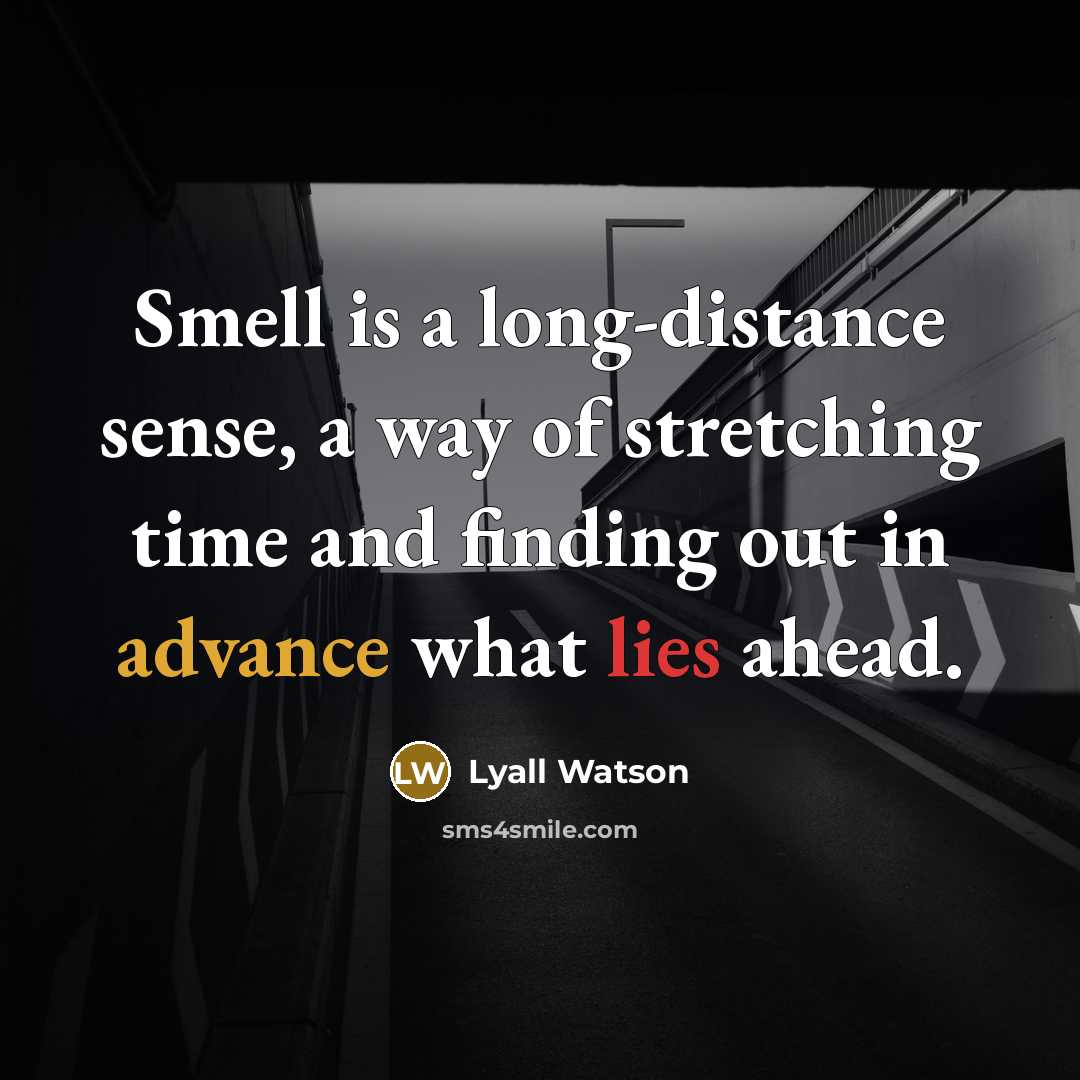 “Smell is a long-distance sense, a way of stretching time…” quote by Lyall Watson