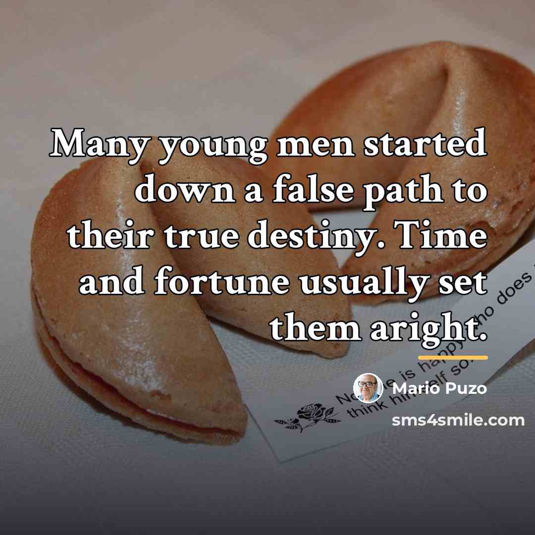 “Many young men started down a false path to their…” quote by Mario Puzo