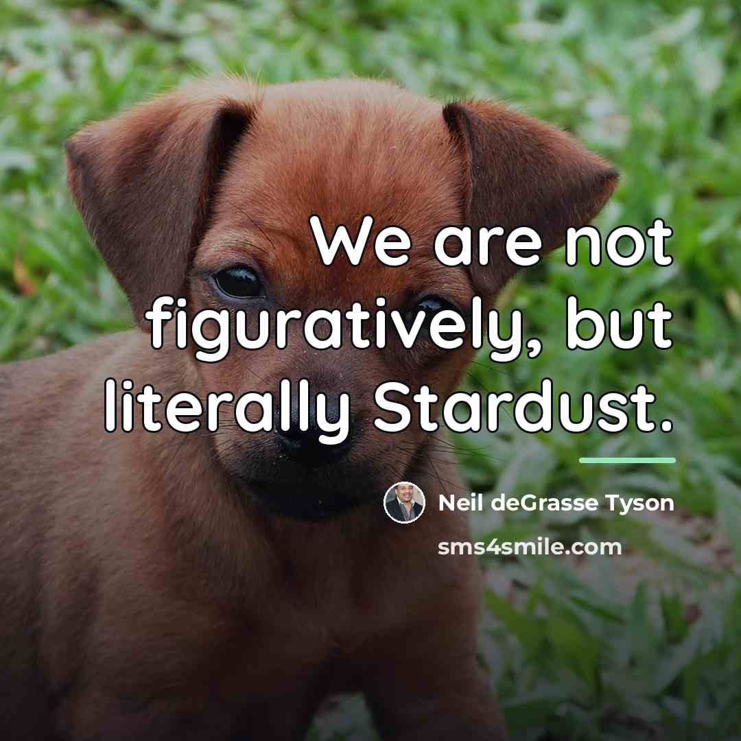 “We are not figuratively, but literally Stardust.…” quote by Neil deGrasse Tyson