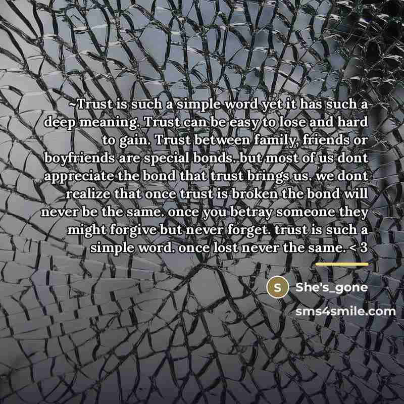 “~Trust is such a simple word yet it has such…” quote by She's_gone