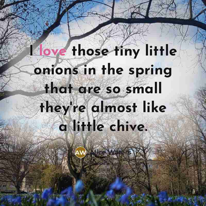 “I love those tiny little onions in the spring that…” quote by Alice Waters