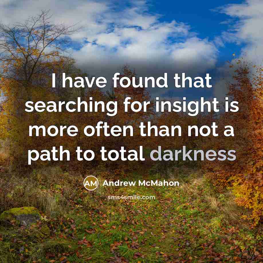 “I have found that searching for insight is more often…” quote by Andrew McMahon