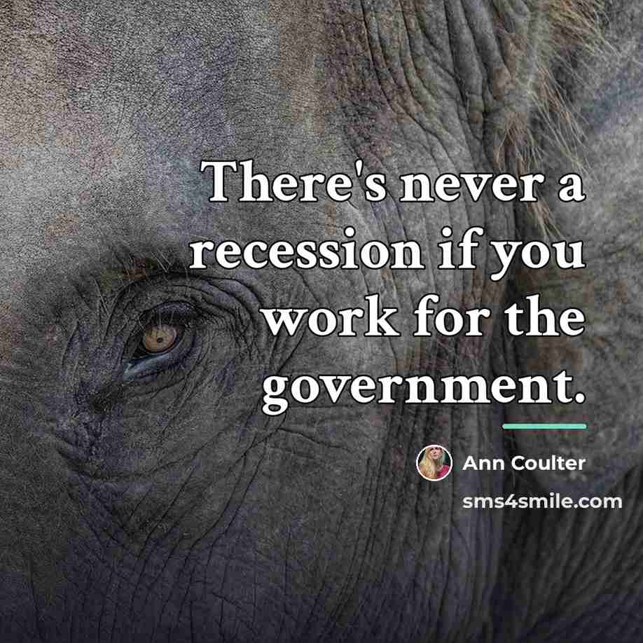 “There's never a recession if you work for the government.…” quote by Ann Coulter