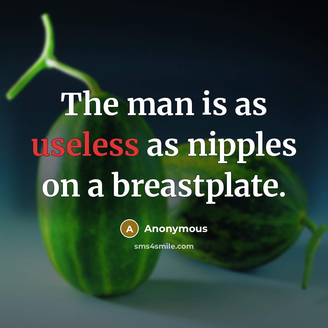 “The man is as useless as nipples on a breastplate.” quote by Anonymous