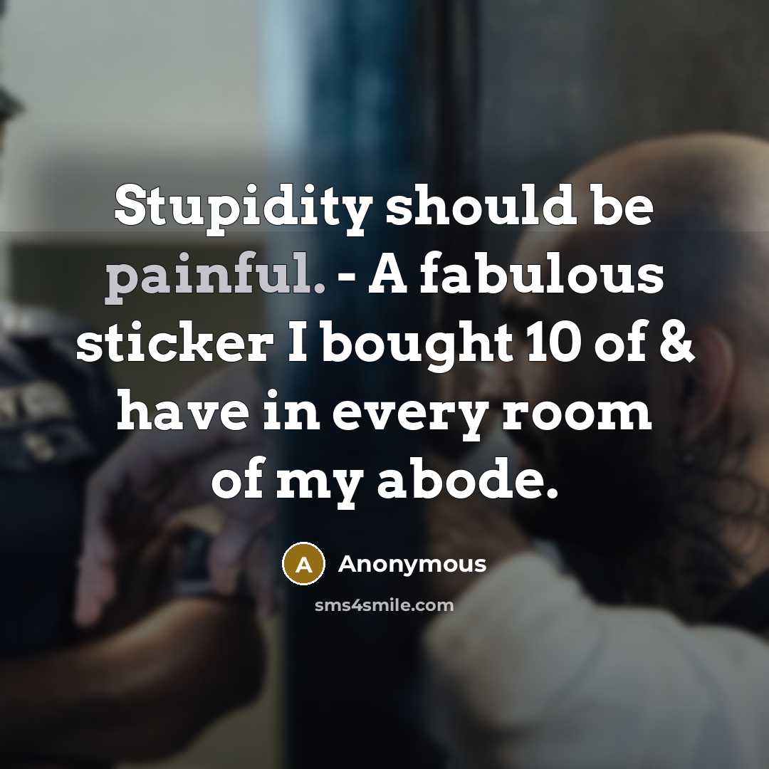 “Stupidity should be painful. - A fabulous sticker I bought…” quote by Anonymous