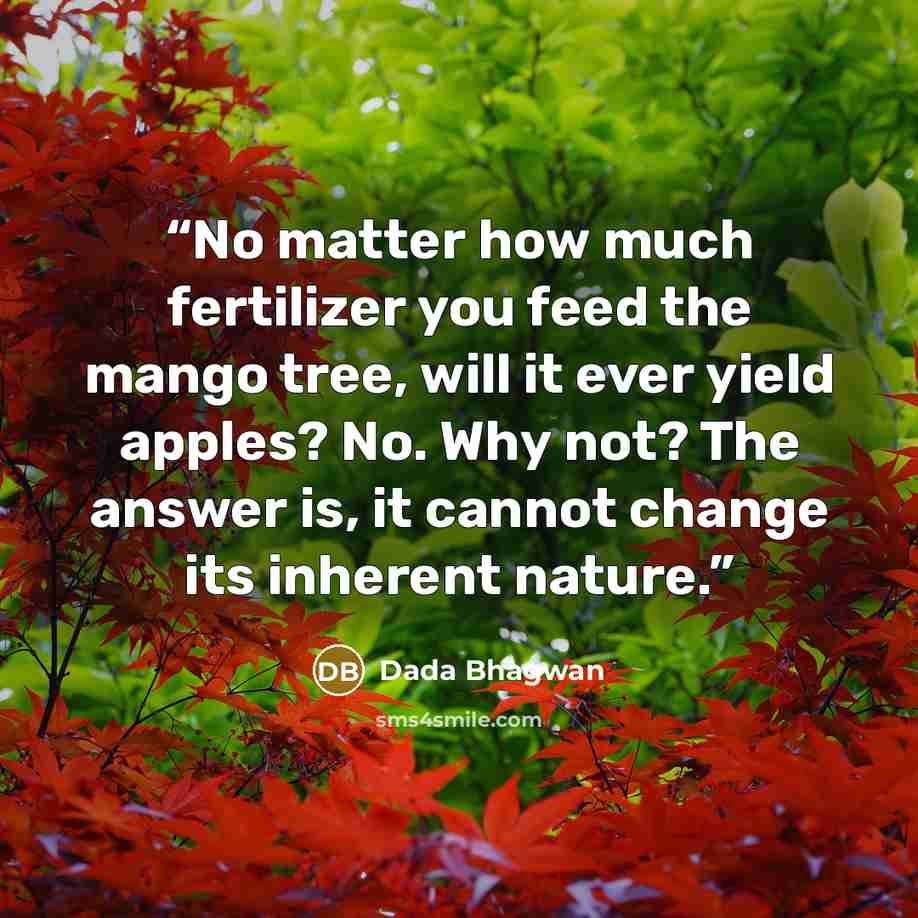 “No matter how much fertilizer you feed the mango tree, will it ever yield apples? No. Why not? The answer is, it cannot change its inherent nature.” quote by Dada Bhagwan
