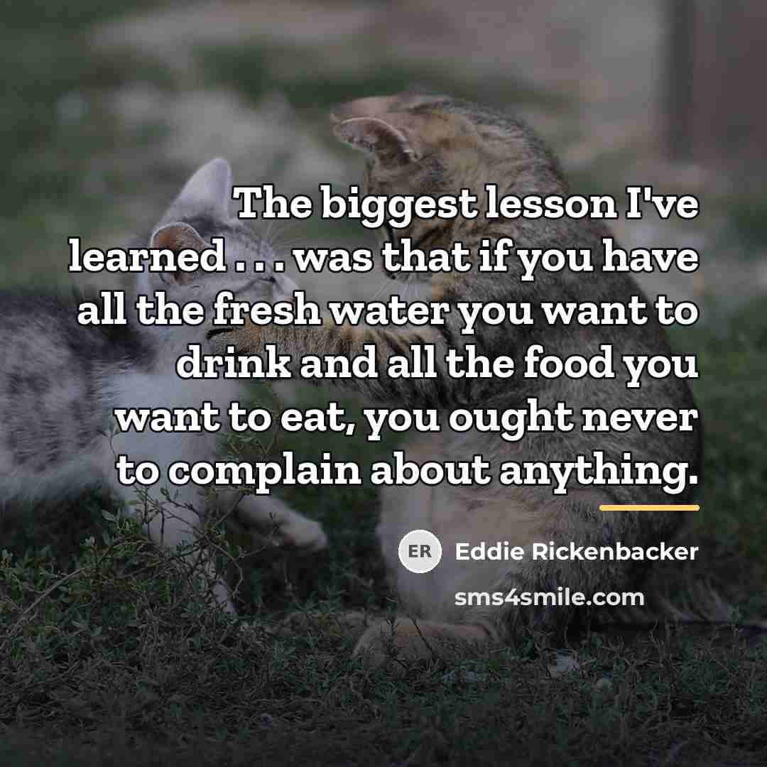 “The biggest lesson I've learned . . . was that…” quote by Eddie Rickenbacker