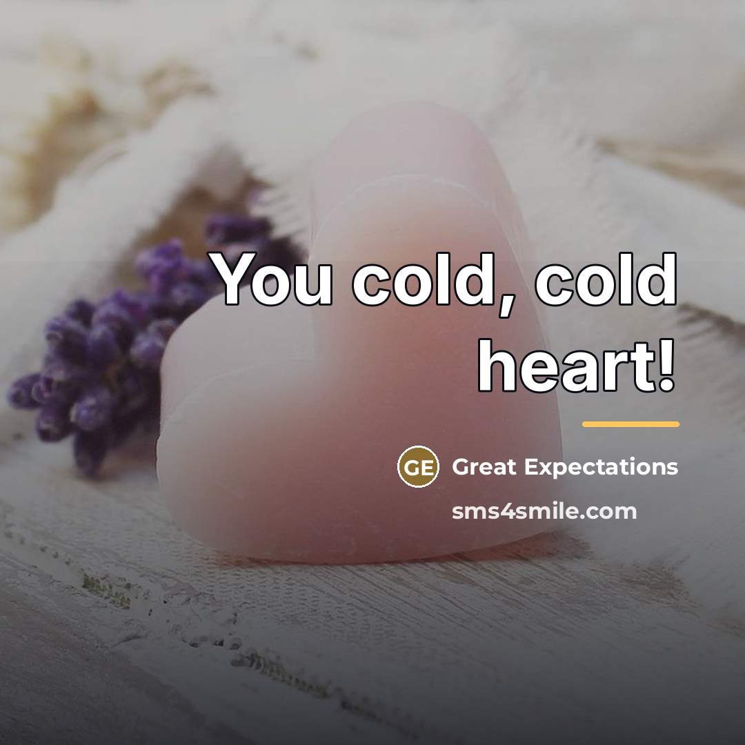 “You cold, cold heart!…” quote by Great Expectations