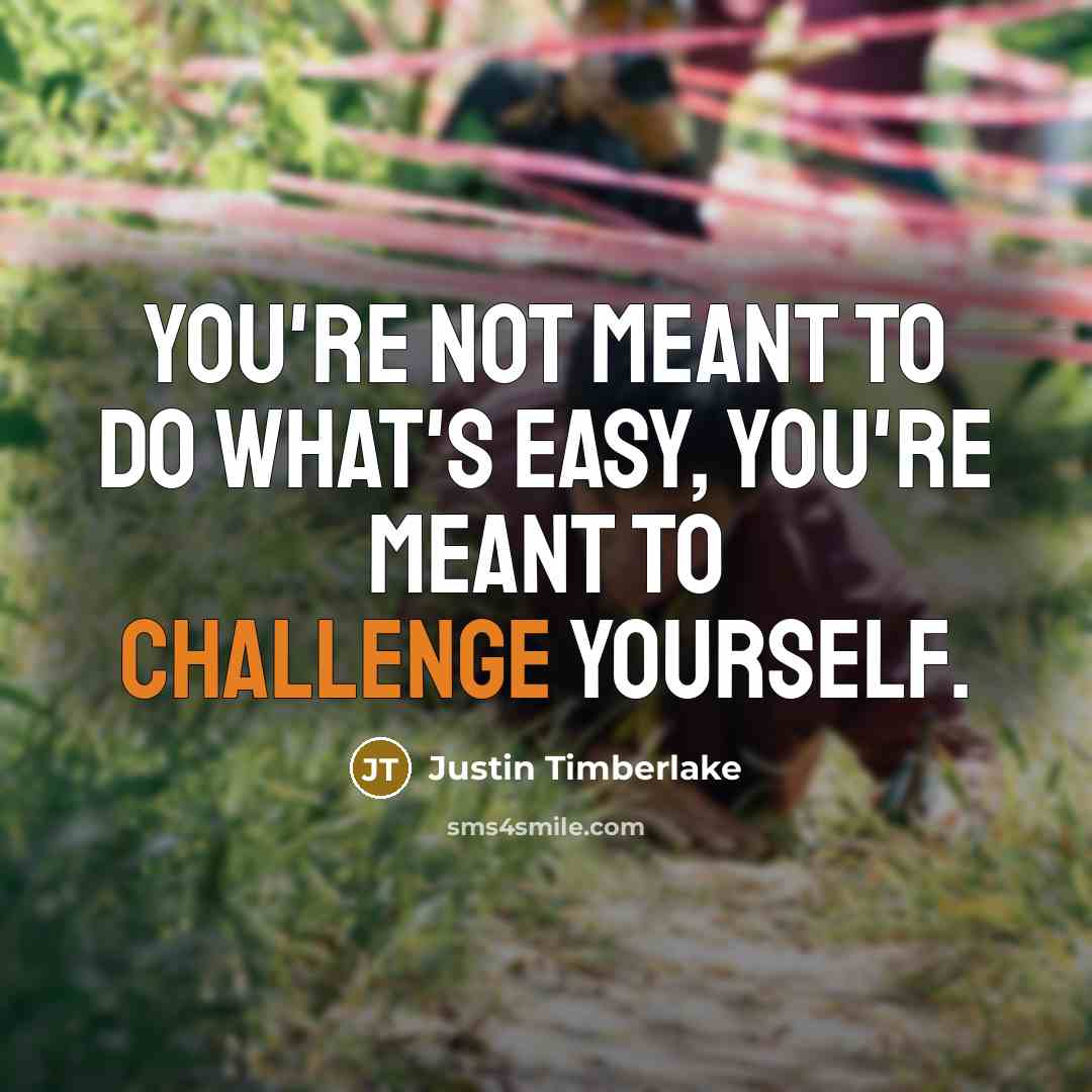 “You're not meant to do what's easy, you're meant to challenge yourself.” quote by Justin Timberlake
