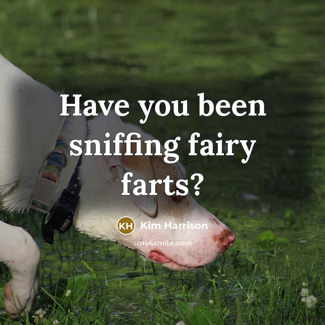 “Have you been sniffing fairy farts?…” quote by Kim Harrison