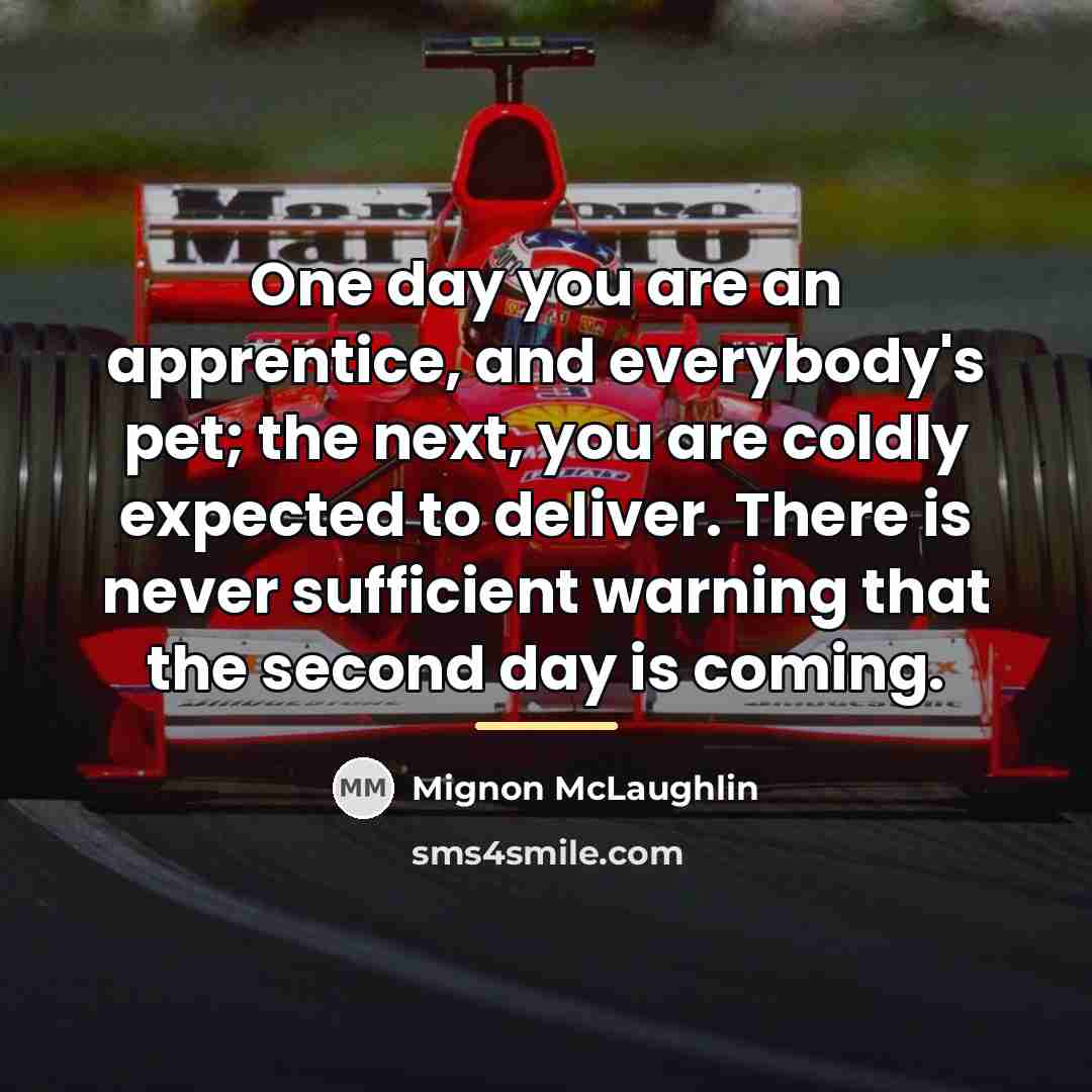 “One day you are an apprentice, and everybody's pet; the…” quote by Mignon McLaughlin