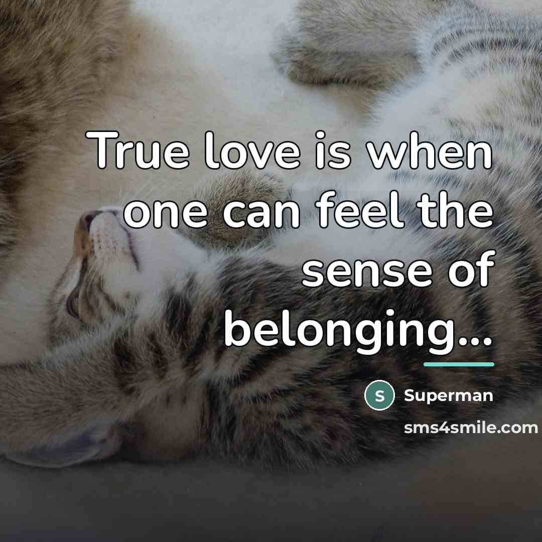 “True love is when one can feel the sense of…” quote by Superman