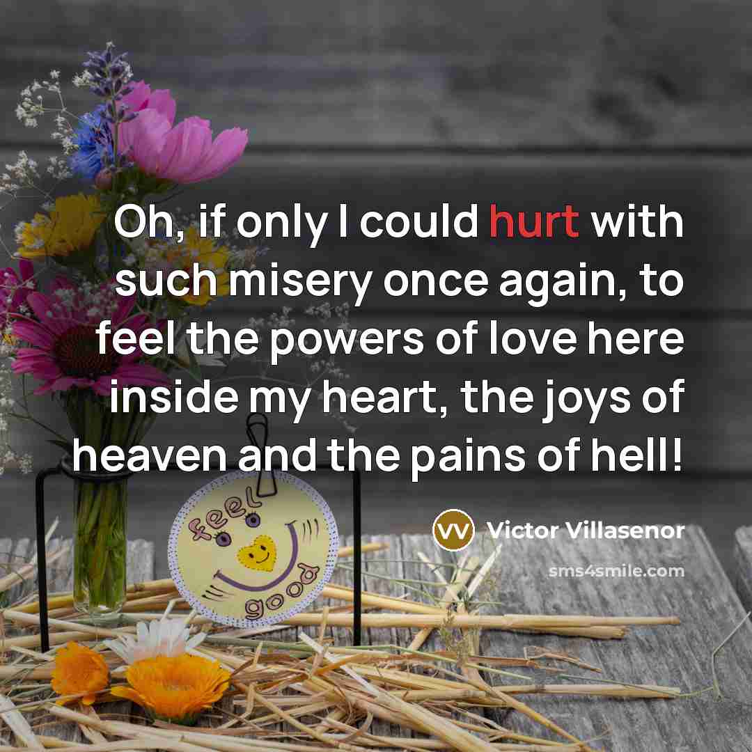 “Oh, if only I could hurt with such misery once…” quote by Victor Villasenor