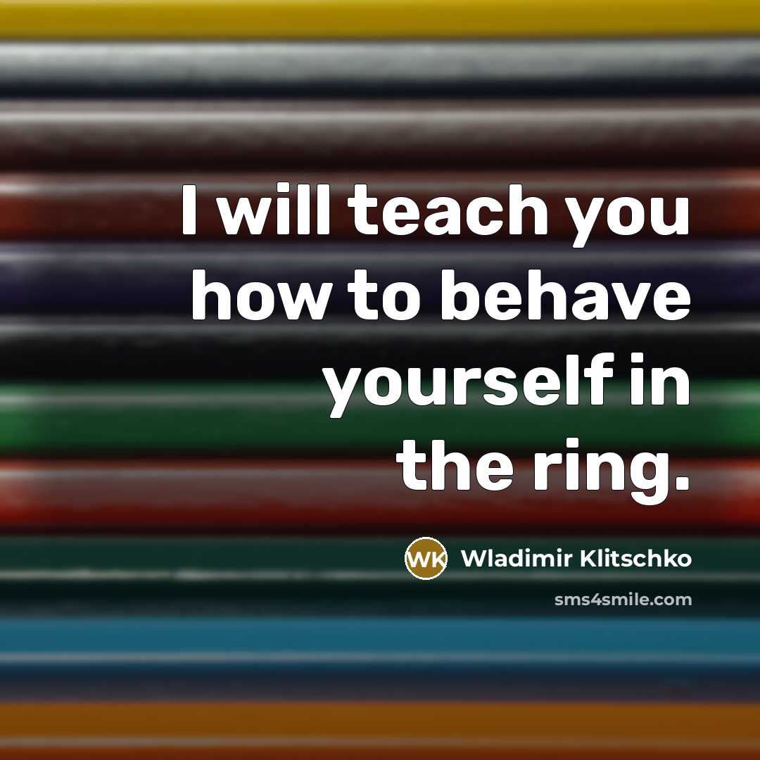 “I will teach you how to behave yourself in the…” quote by Wladimir Klitschko