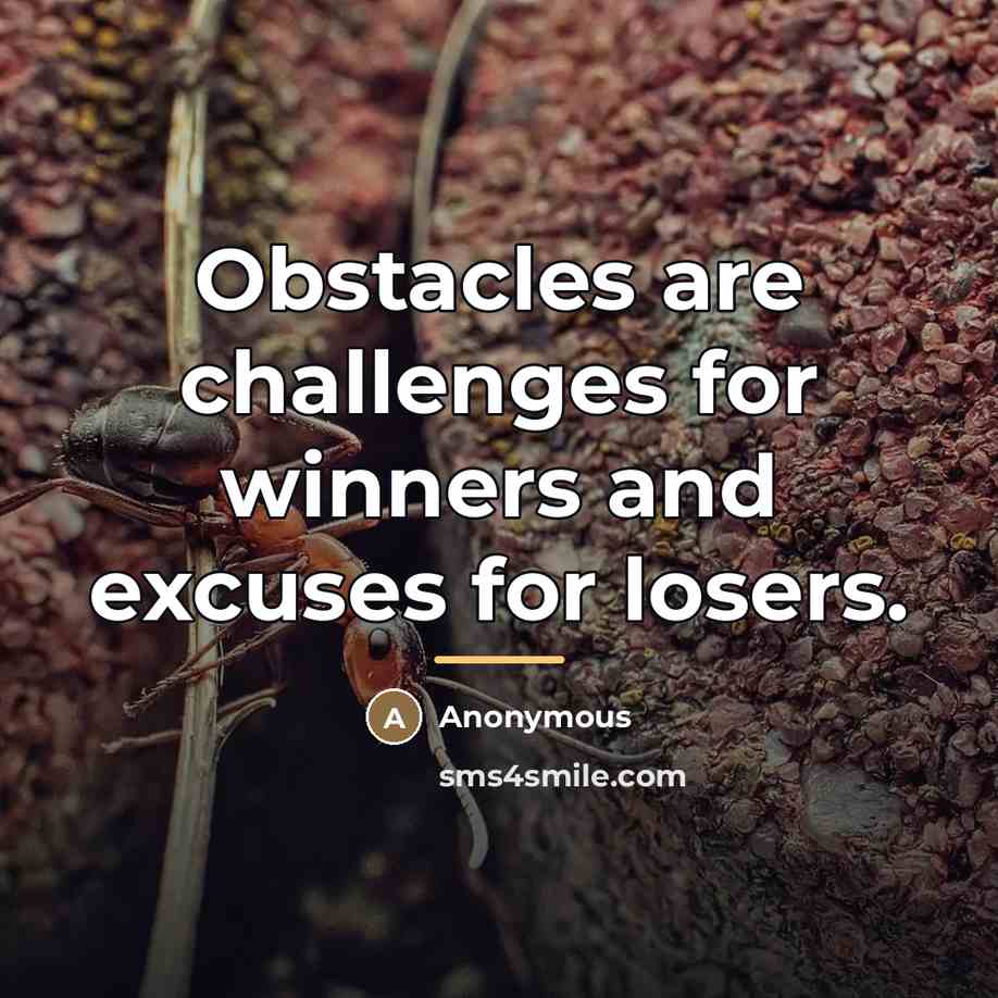 “Obstacles are challenges for winners and excuses for losers.…” quote by Anonymous