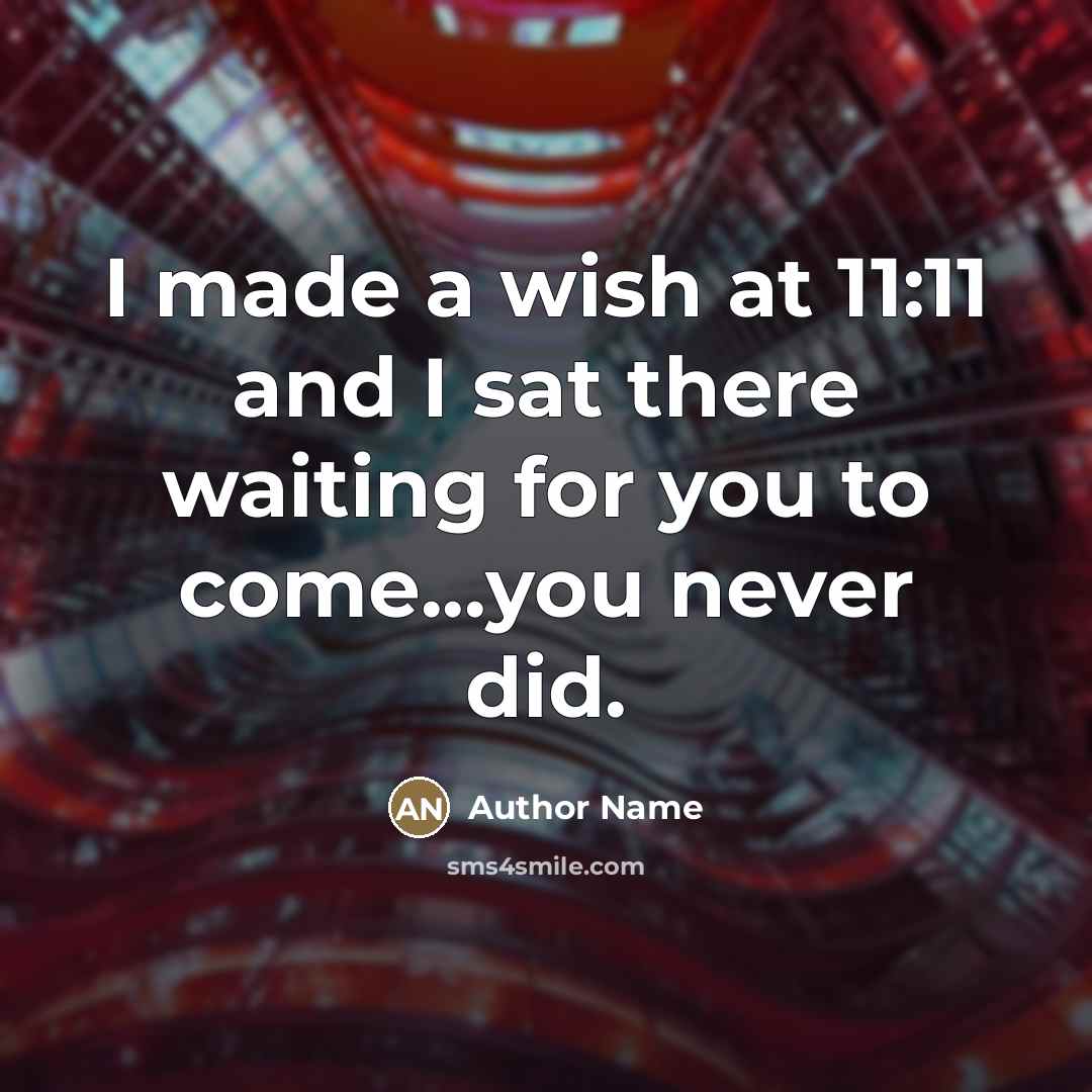 “I made a wish at 11:11 and I sat there…” quote by Author Name
