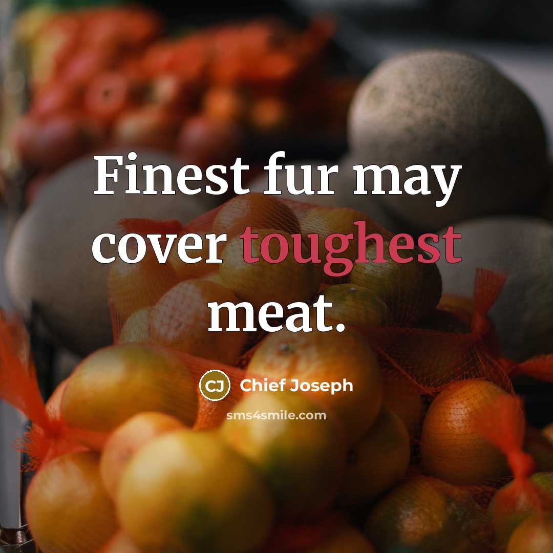 “Finest fur may cover toughest meat.…” quote by Chief Joseph