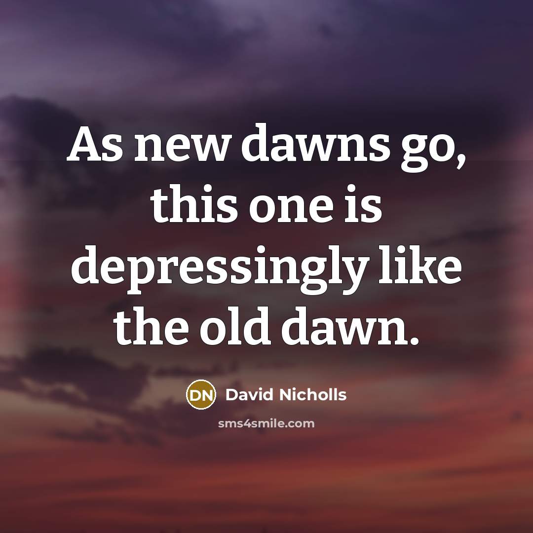 “As new dawns go, this one is depressingly like the…” quote by David Nicholls