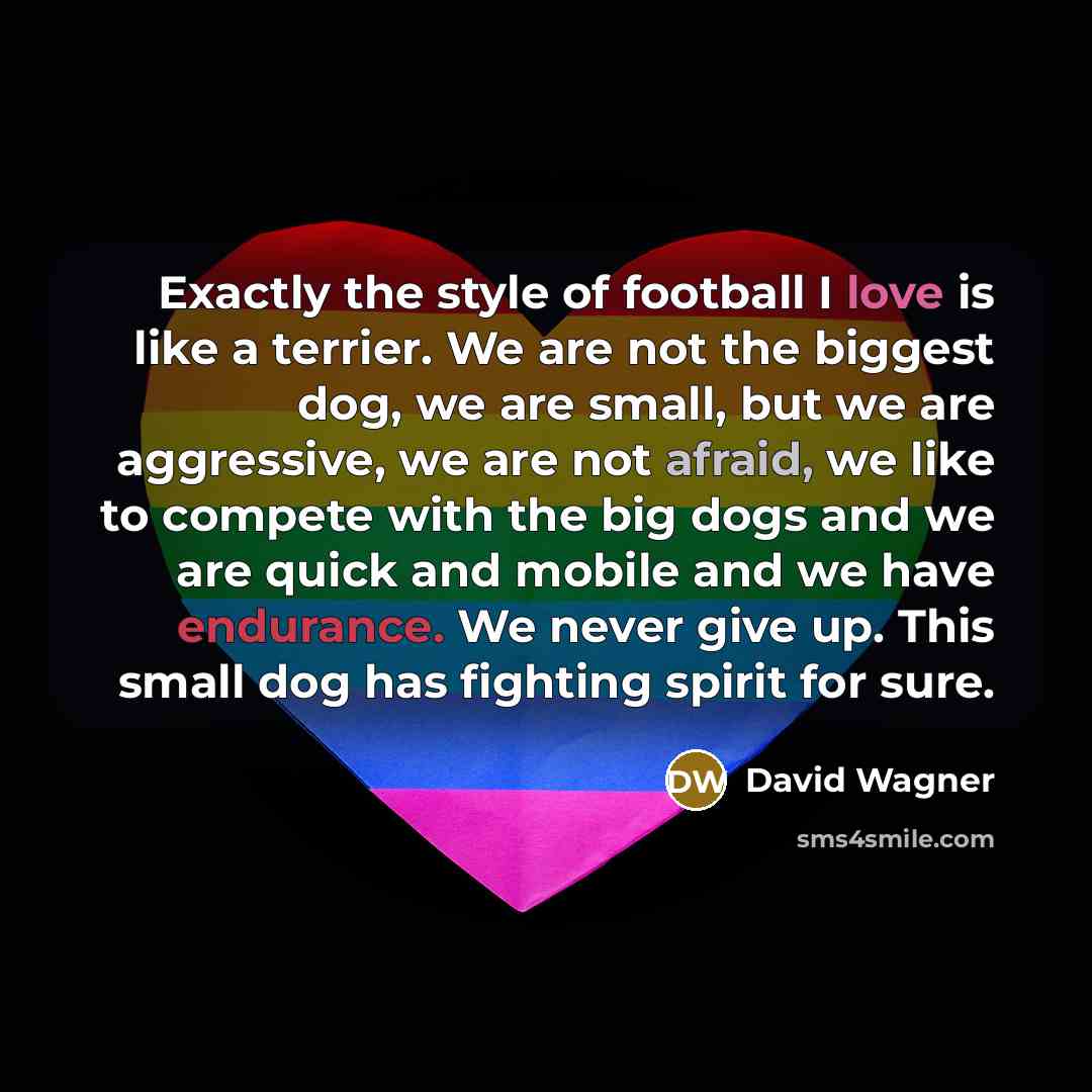 “Exactly the style of football I love is like a…” quote by David Wagner
