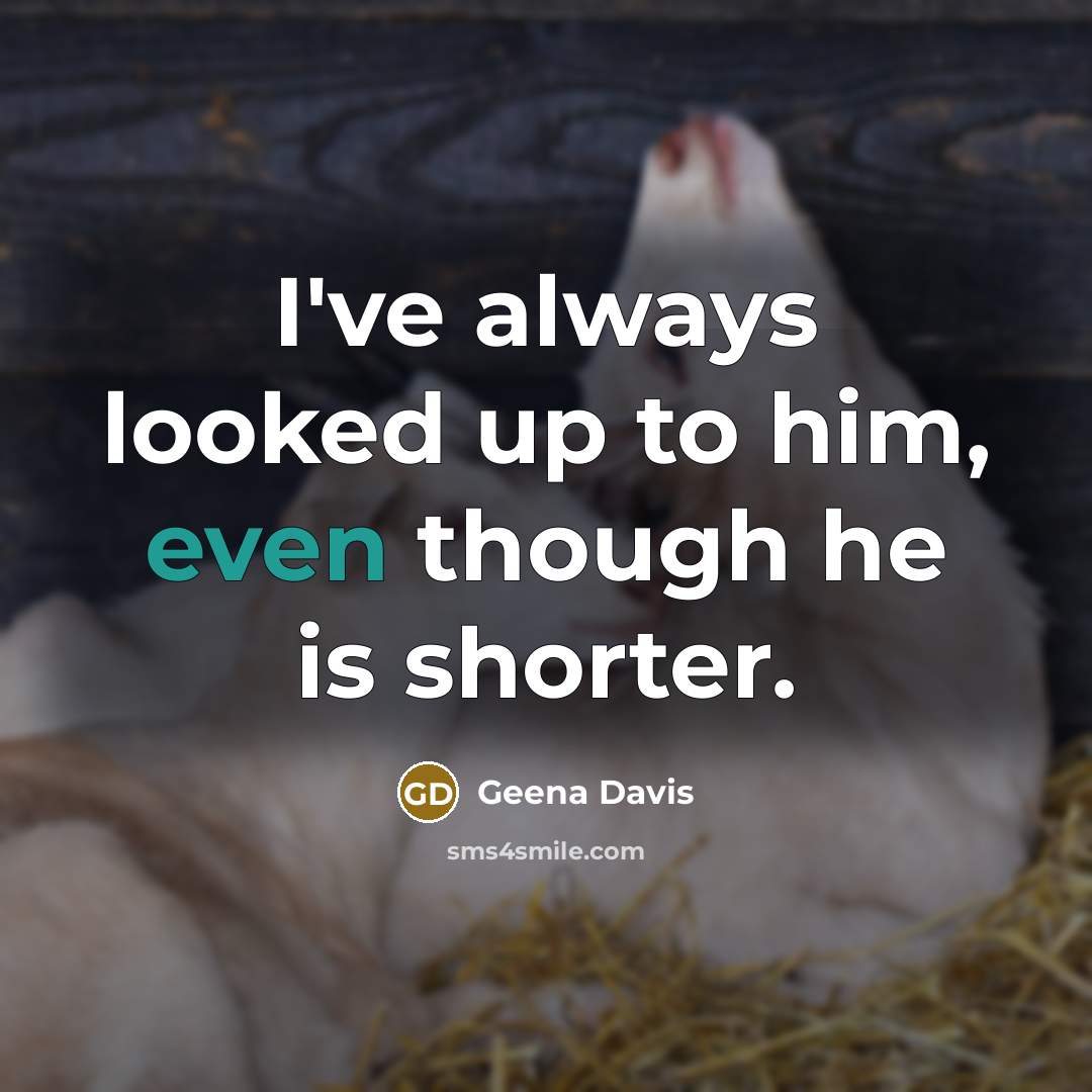 “I've always looked up to him, even though he is…” quote by Geena Davis