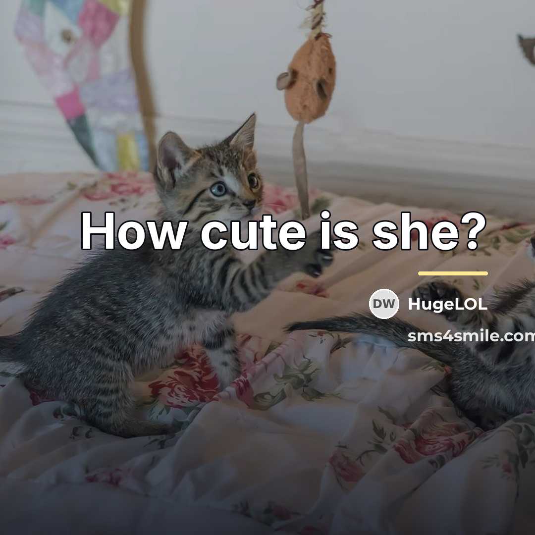 “How cute is she?…” quote by HugeLOL